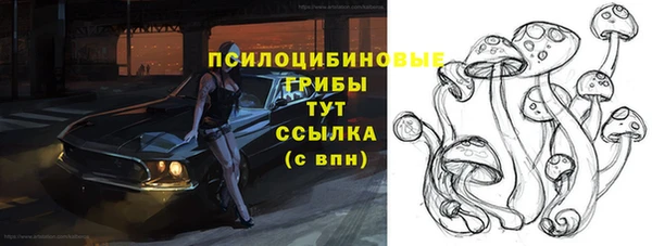 скорость Пересвет