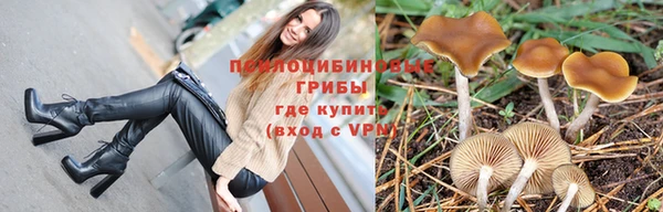 ешки Осинники