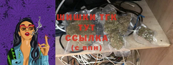 винт Пестово